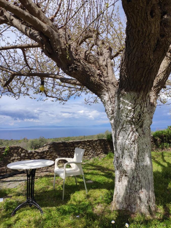 Μαγεμένος Πύργος Στις Θαλάμες Lägenhet Koumani Exteriör bild